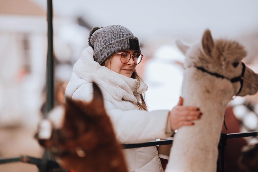 Tiergestützte Therapie mit Alpakas