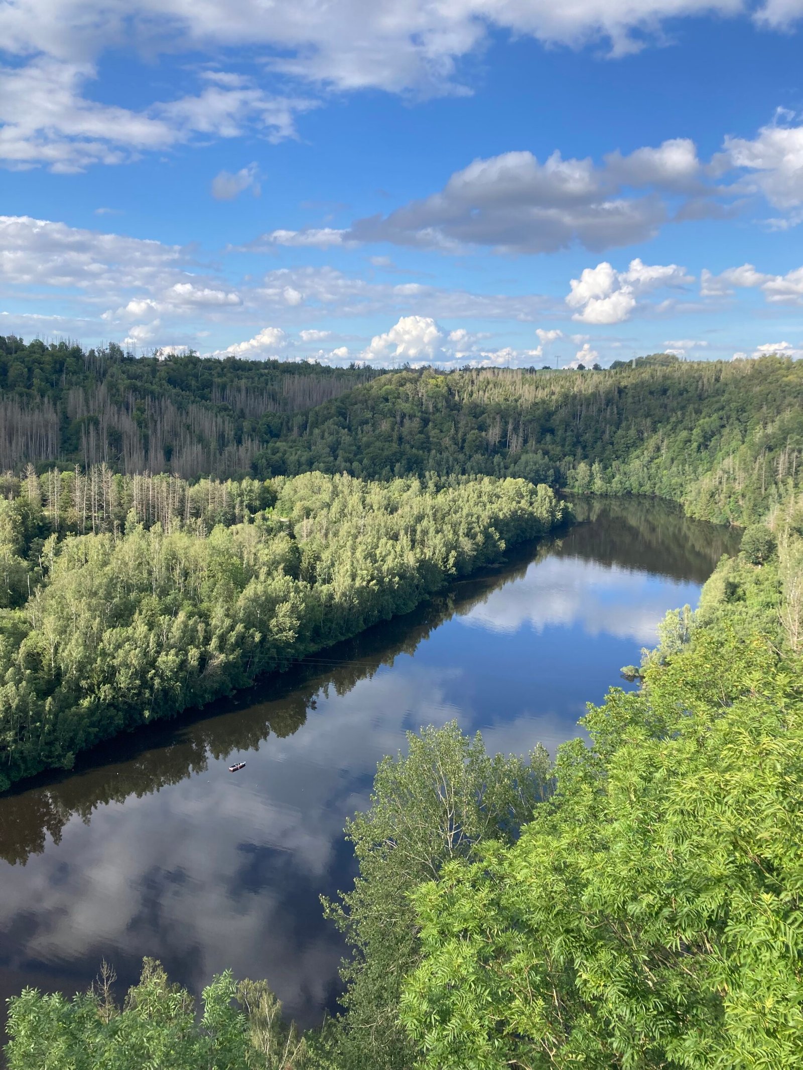 Ausblick im Harz