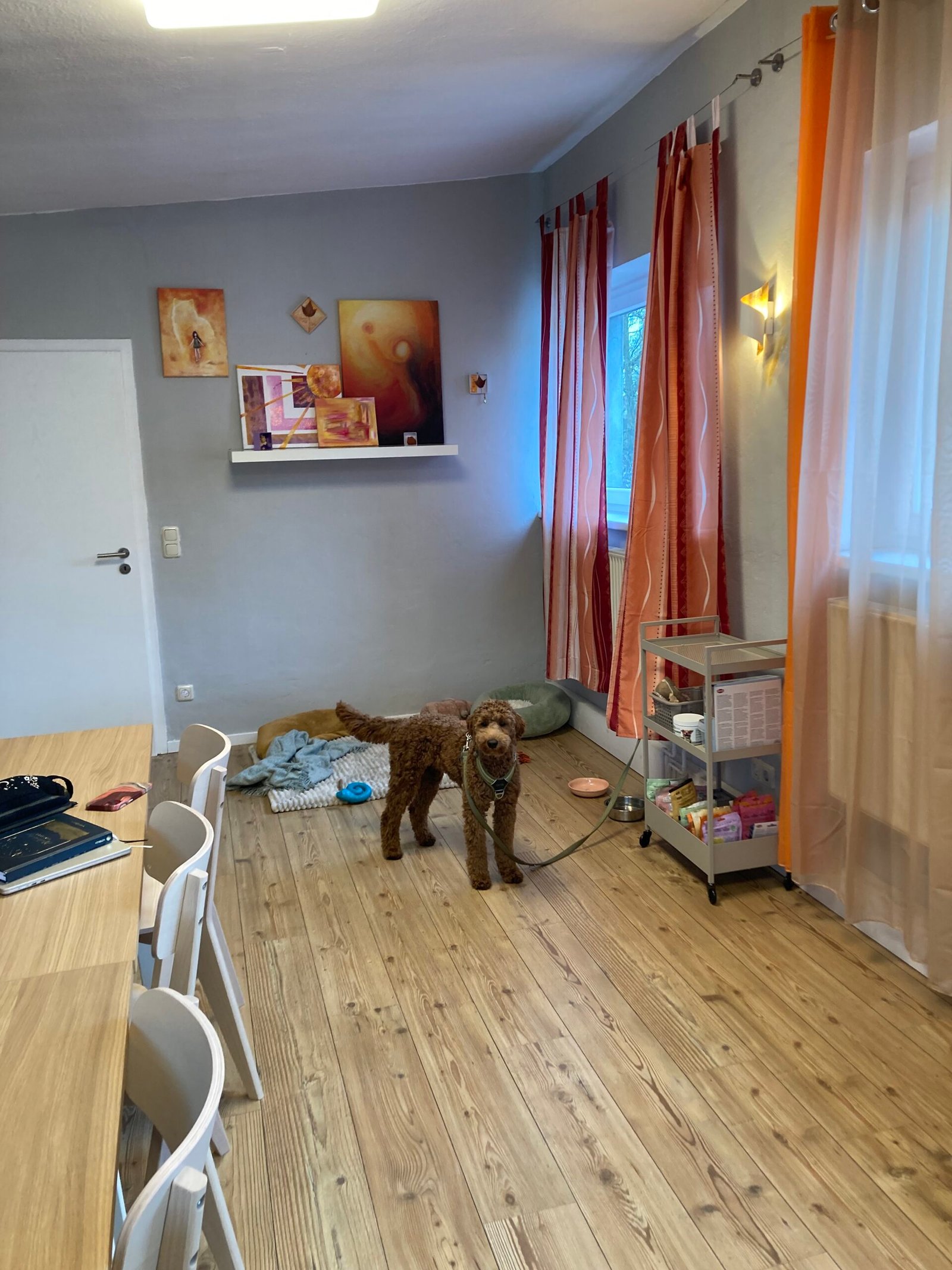 Therapiehund-Ergotherapie
