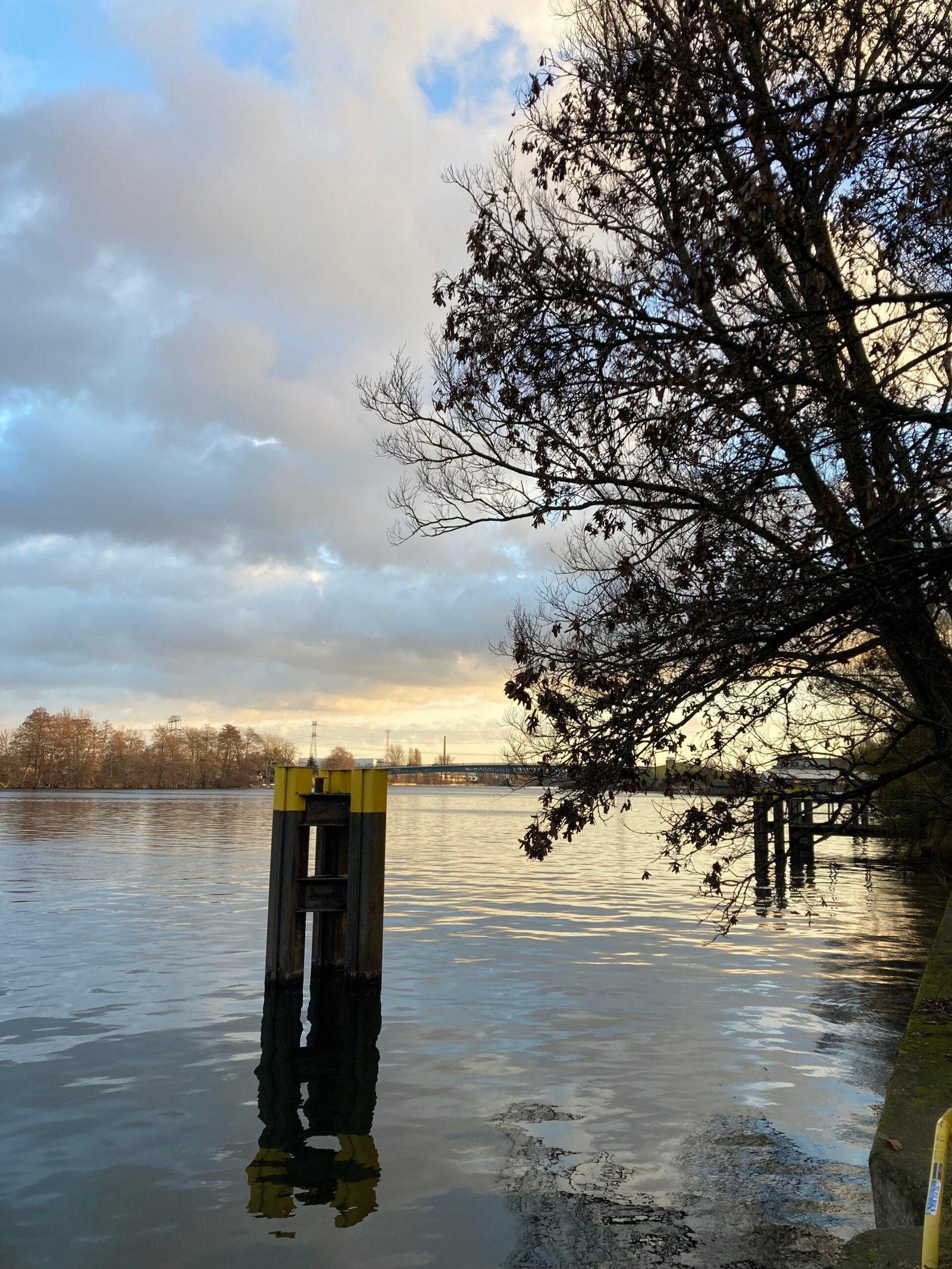 Ruhe-finden-am-Plaenterwald-Berlin
