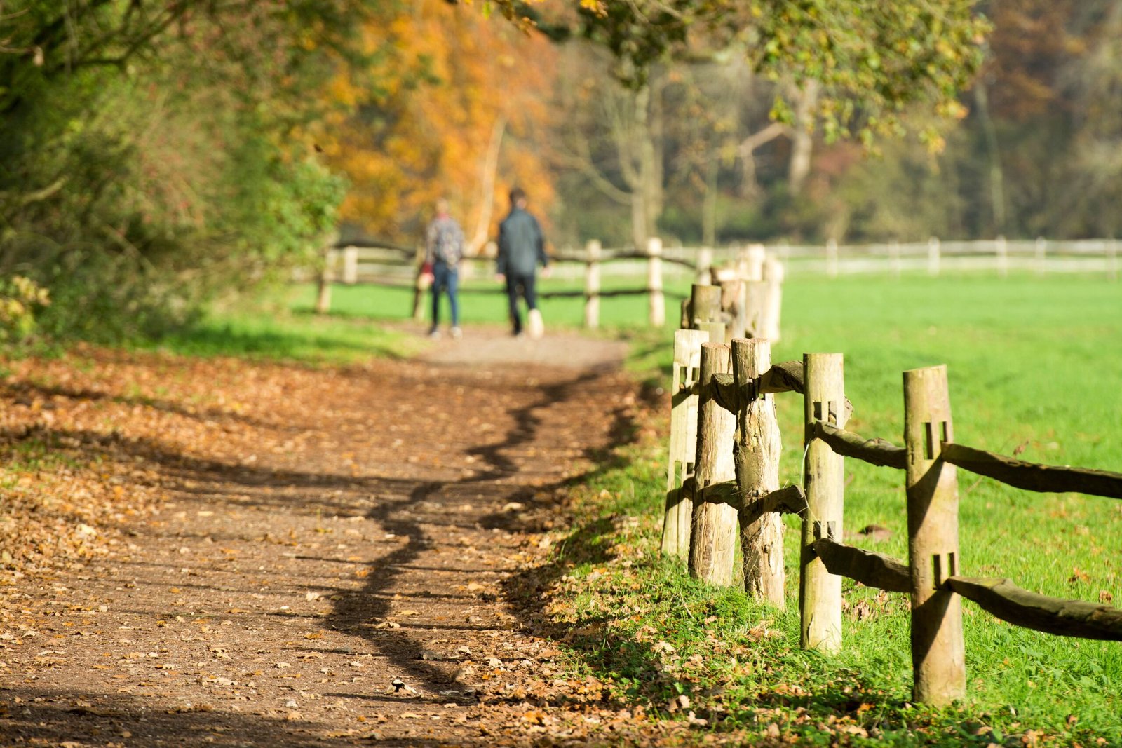 urlaub auf einem Gutshof in Mecklenburg Vorpommern